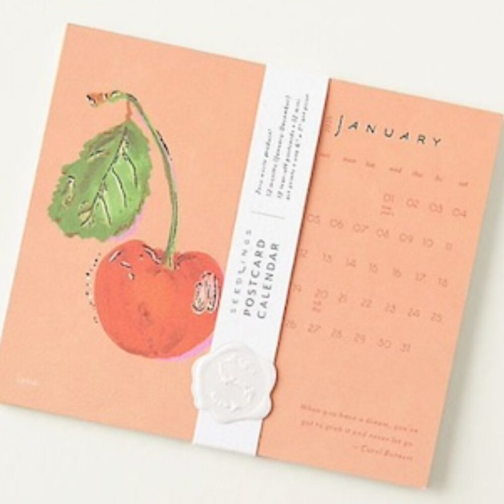 Anthropologie Seedlings 2025 Postcard Calendar NWT